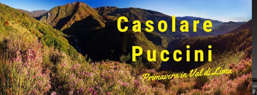 Casolare Puccini Bagni di Lucca Exterior foto